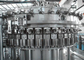 Controle de enxaguadela carbonatado gasificado automóvel do PLC das cabeças da máquina de enchimento 12 da água fornecedor